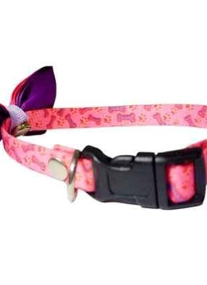 Collar para mascotas collar para mascotas