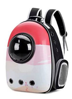 maleta transportadora