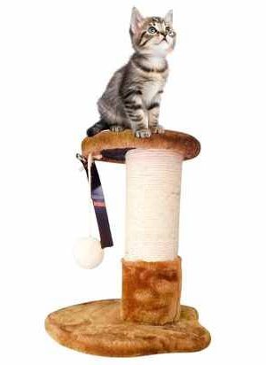 rascador para gatos rascador para gatos