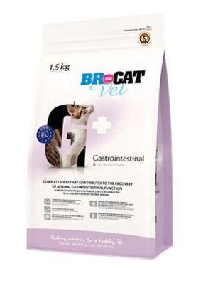 BR FOR CAT Vet Gastrointestinal
