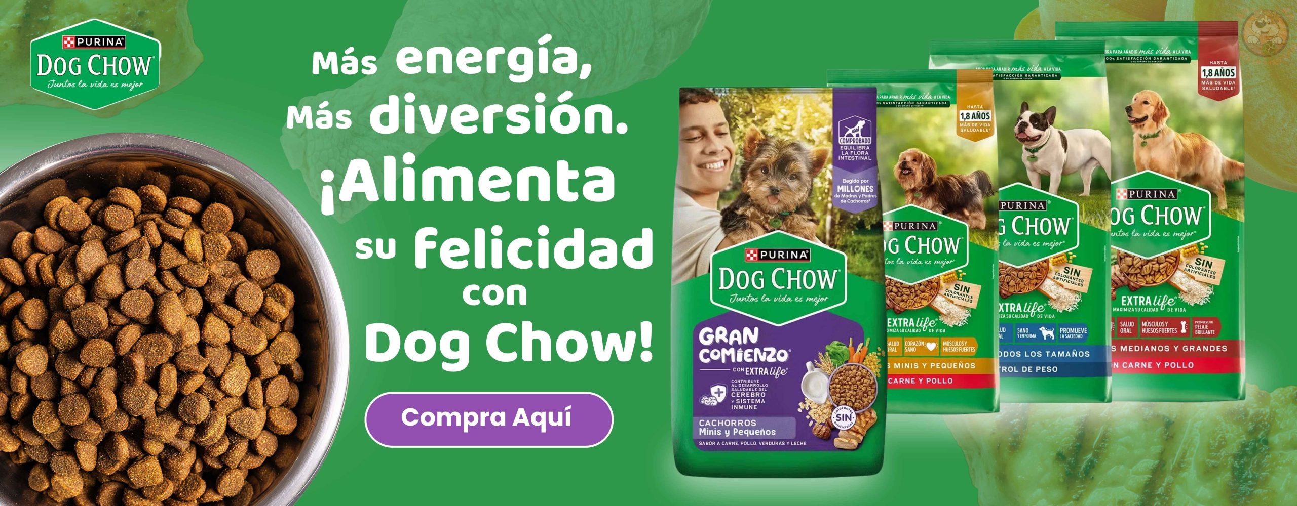 Nutrición que tu gato merece 