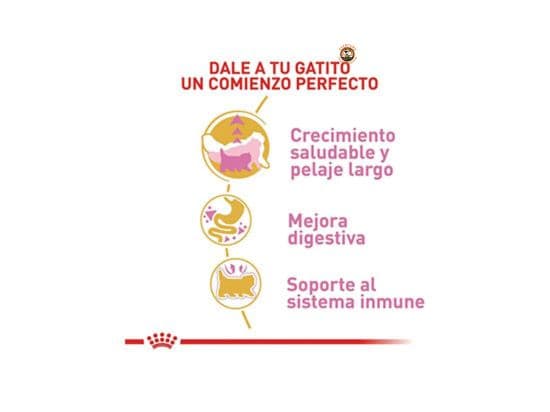 ROYAL CANIN PERSIAN KITTEN 2 KG - Imagen 2