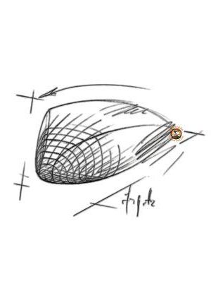 Royal Canin Hydrolyzed Protein HP (2) Royal Canin Hydrolyzed Protein HP