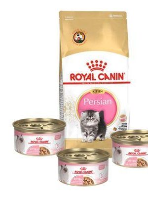 Royal Canin Kitten Persian Royal Canin Kitten Persian
