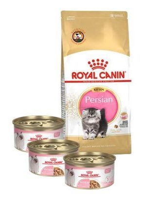 Royal Canin Kitten Persian