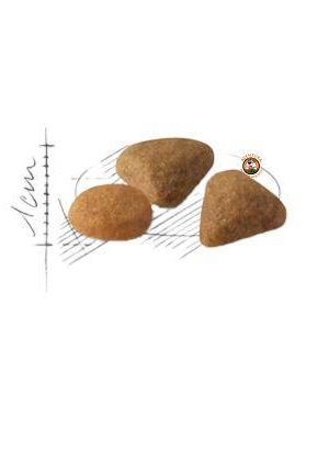 Royal Canin Sabor Exigente (2)