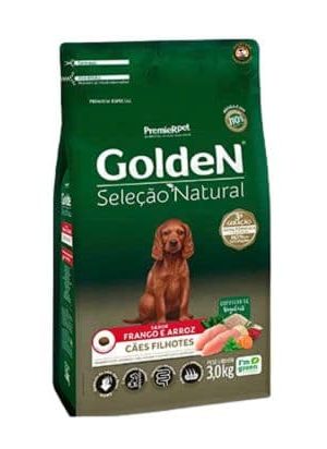 golden puppy