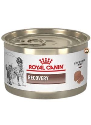 ROYAL CANIN RECOVERY