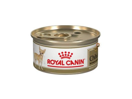 Royal Canin Chihuahua