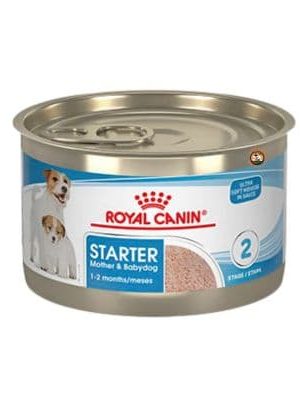 Royal Canin Starter Mother & Babydog