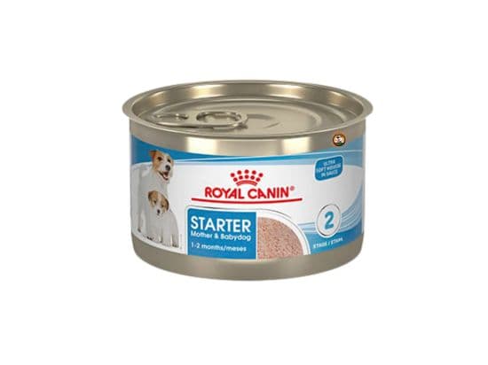 Royal Canin Starter Mother & Babydog