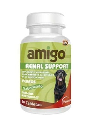 AMIGO RENAL SUPPORT
