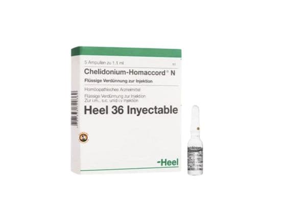 CHELIDONIUM HOMACCORD