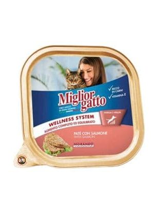 MIGLIOR GATTO CON SALMON