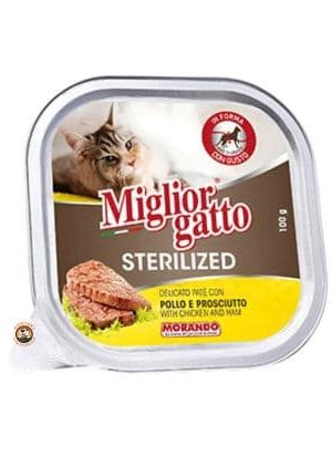 Miglior Gatto Sterilized
