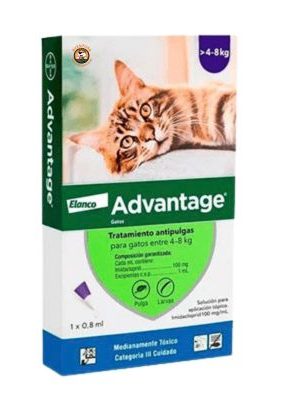 ADVANTAGE 0.8 ML GATOS 4-8 KG
