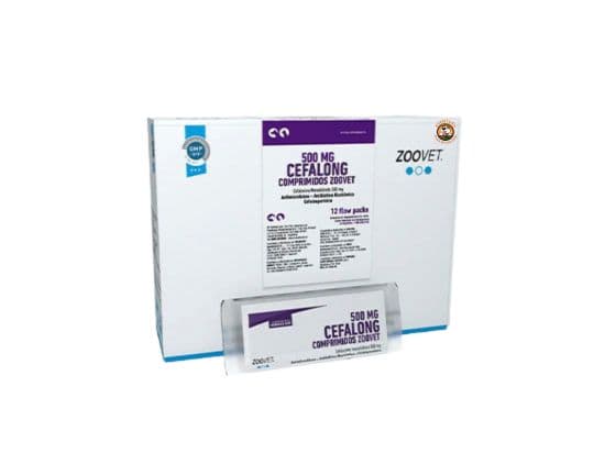 CEFALONG 500 MG