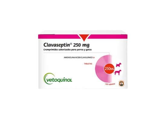 CLAVASEPTIN 250 mg