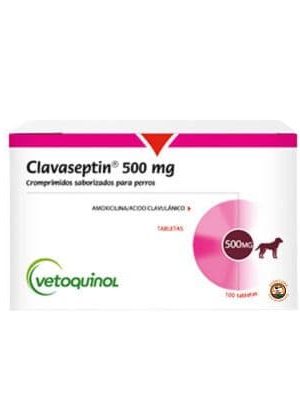 CLAVASEPTIN COMPRIMIDOS 500 mg