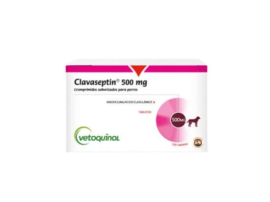 CLAVASEPTIN COMPRIMIDOS 500 mg