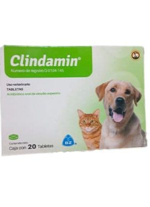 CLINDAMIN TABLETAS 20
