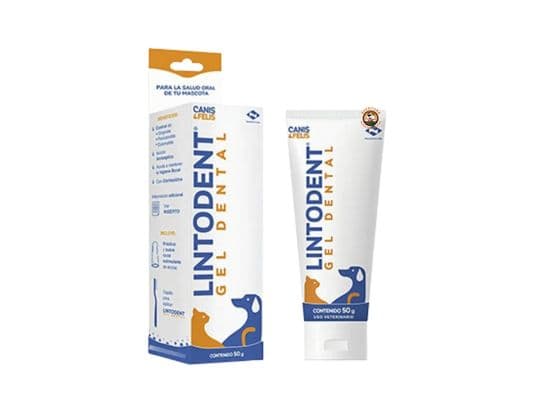 LINTODENT GEL DENTAL