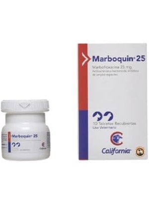 MARBOQUIN 25