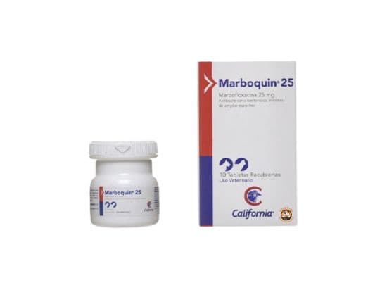 MARBOQUIN 25