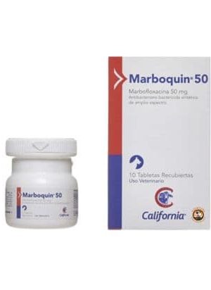 MARBOQUIN 50