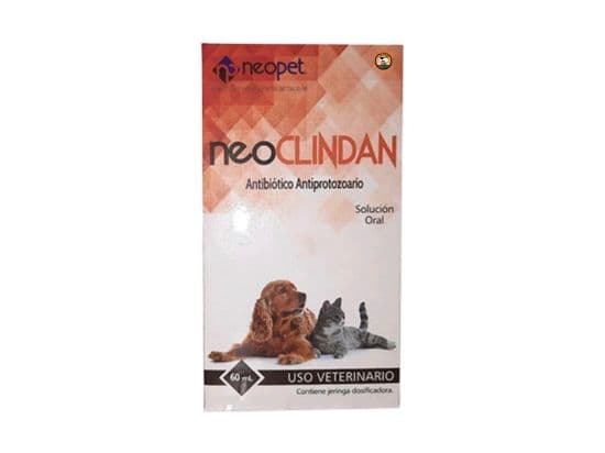 NEOCLINIDAN SOLUCIÓN ORAL