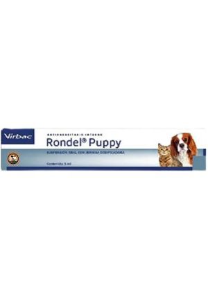 ronde puppy