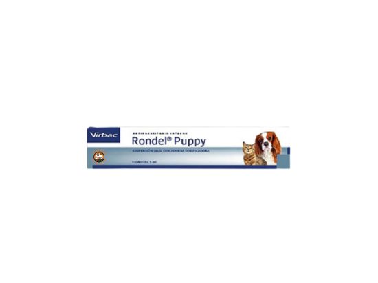 ronde puppy